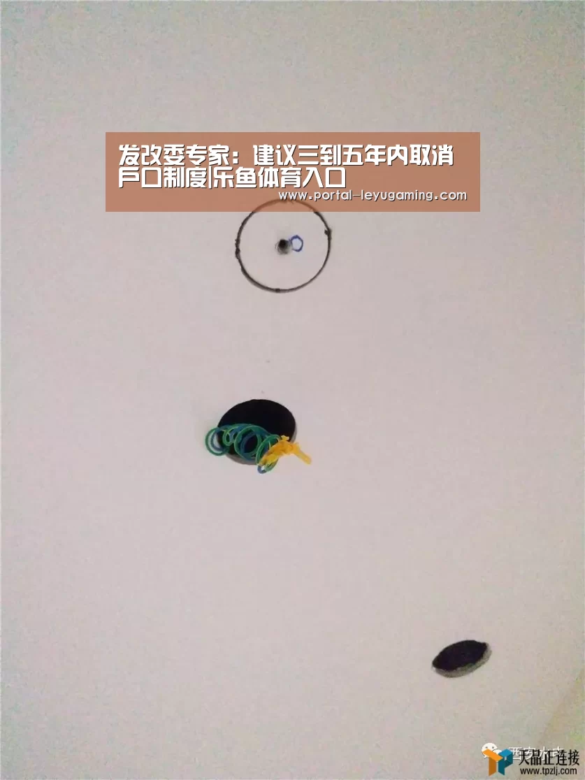 发改委专家:建议三到五年内取消户口制度|乐鱼体育入口(图1) 乐鱼体育APP