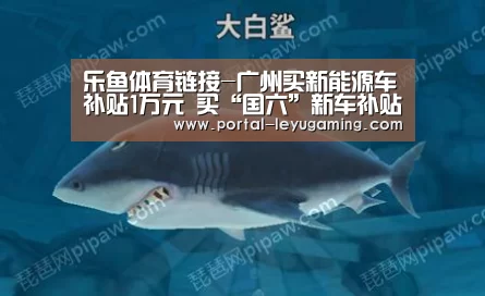 乐鱼体育链接-广州买新能源车补贴1万元 买“国六”新车补贴3千元(图1) 乐鱼体育平台