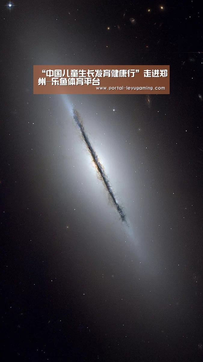 乐鱼体育APP