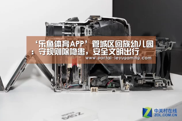 乐鱼体育平台