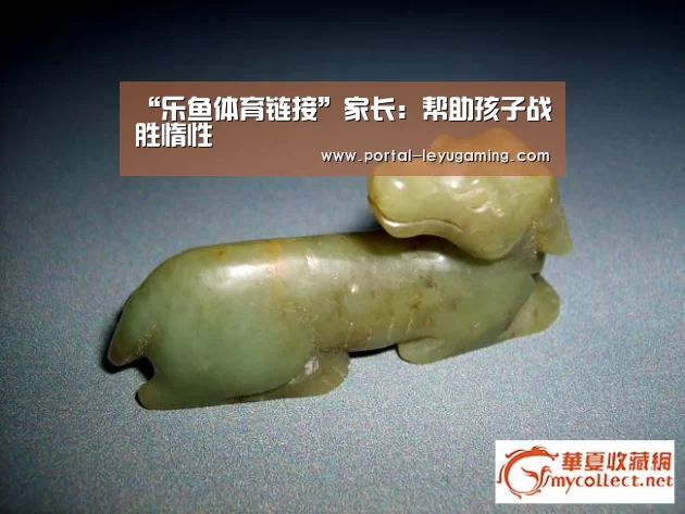 乐鱼体育入口