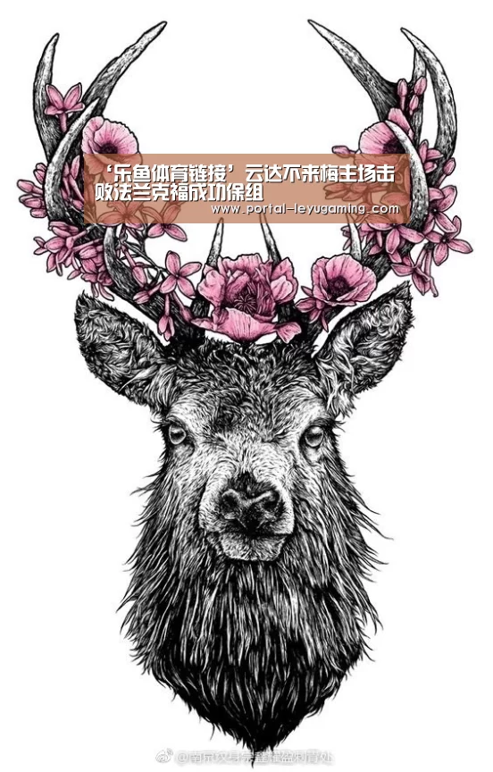乐鱼体育平台
