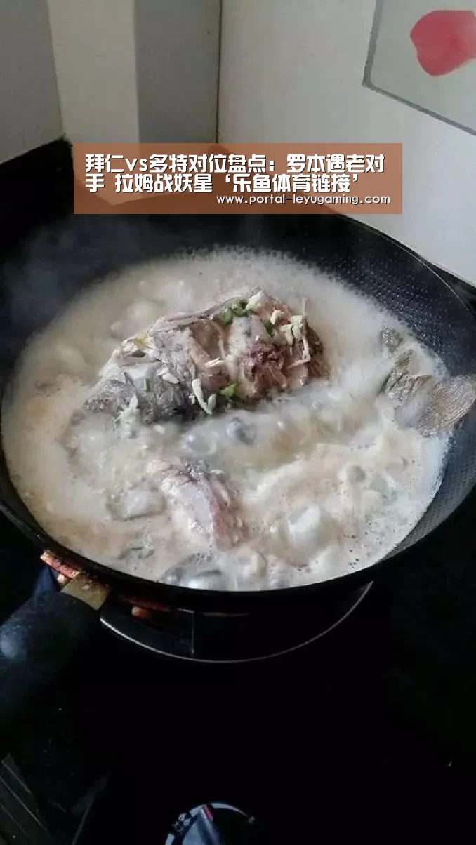 乐鱼体育APP