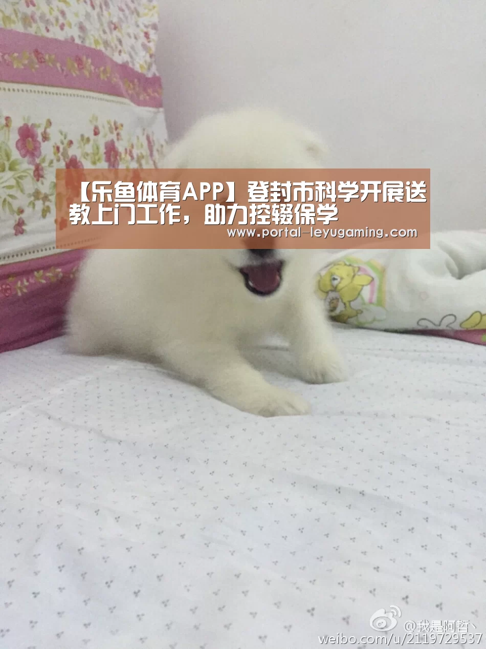 乐鱼体育平台